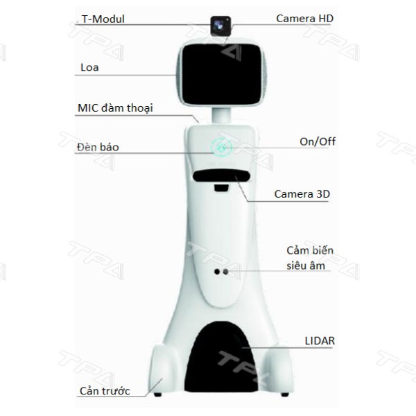 Robot phục vụ đo thân nhiệt