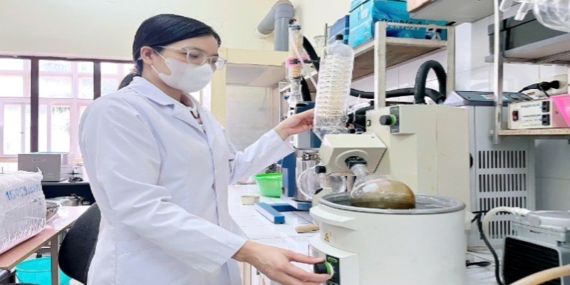 Nghiên cứu hiệu quả điều trị bệnh từ cây vông nem